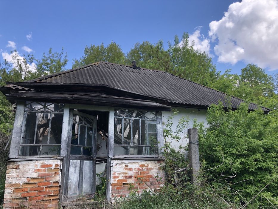 Продам будинок з земельними ділянками в с Євминка.