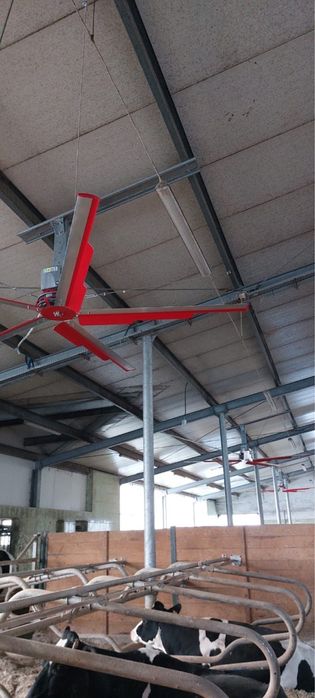 Wentylatory do obory