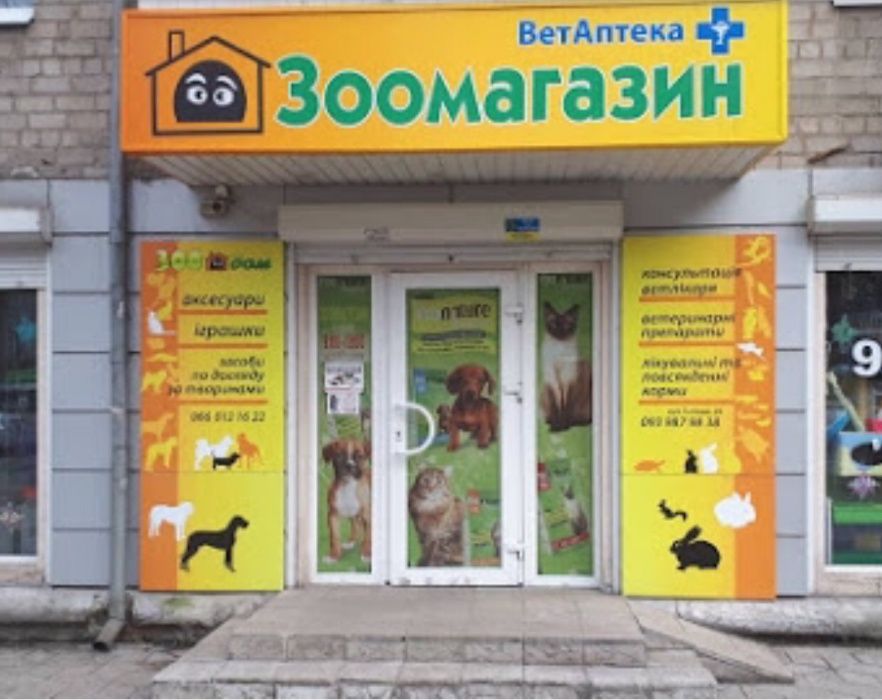 крыса декоративная