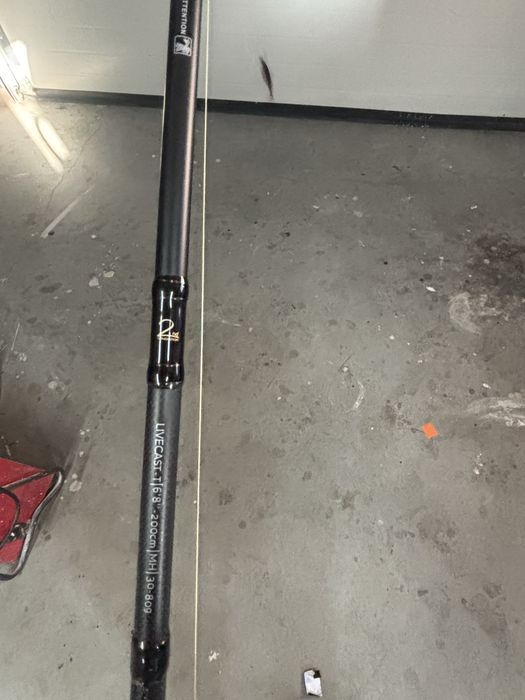 Westin w3 livecast 20/80 + multiplikator Shimano Slx Dc 151HG