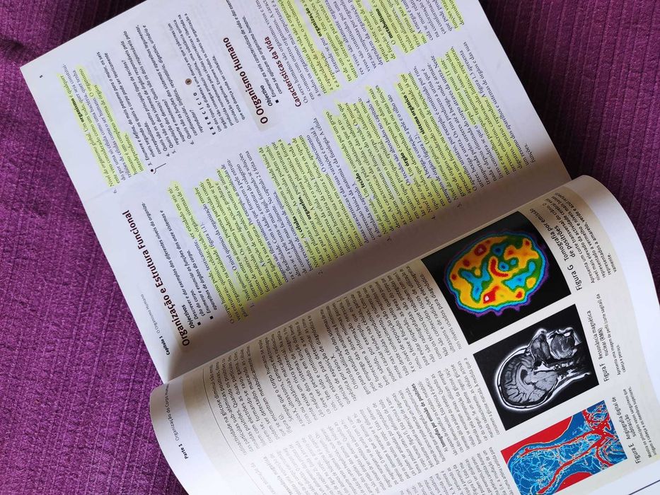 Manual Anatomia e Fisiologia + Guia de Estudos Seeley Tate 6ª Edição