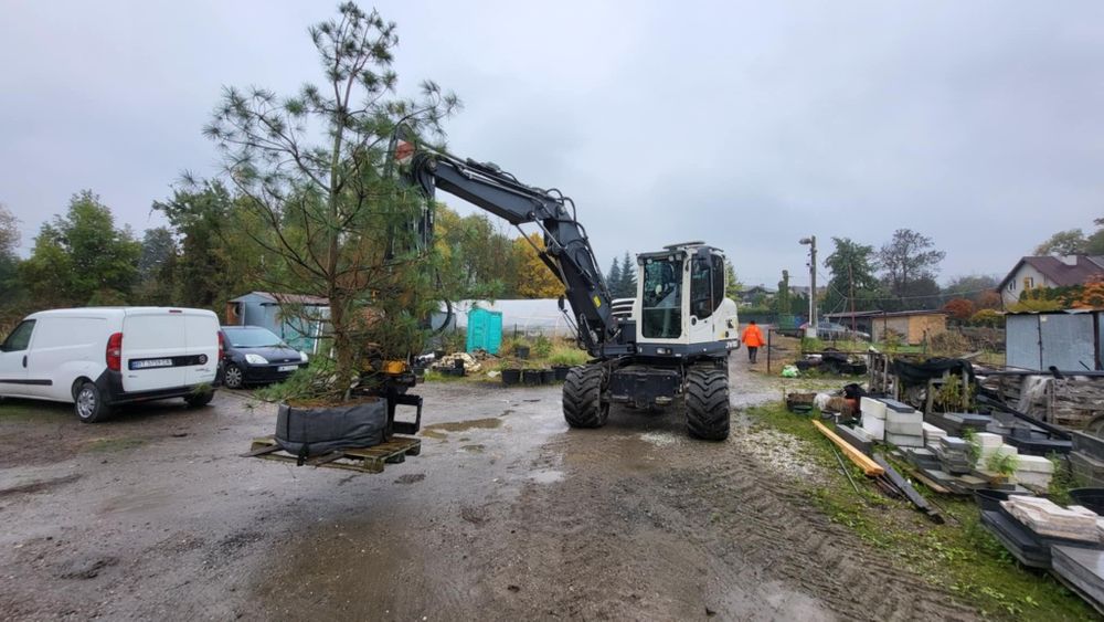 Prace ziemne, usługi koparką, wynajem koparki