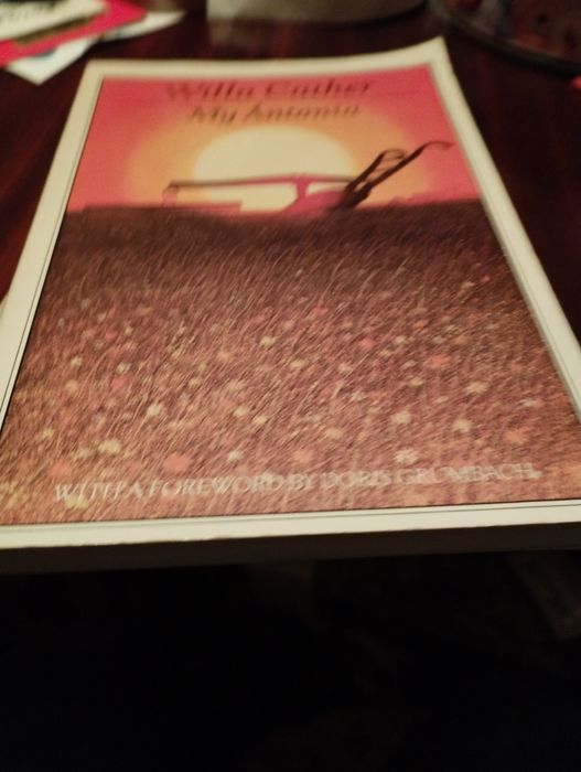 Livro escrito em inglês