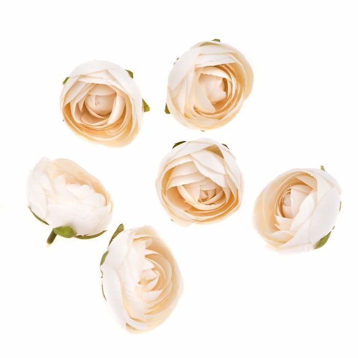 Główki Kwiatowe Piwonii Ecru 6Szt. Dp Craft