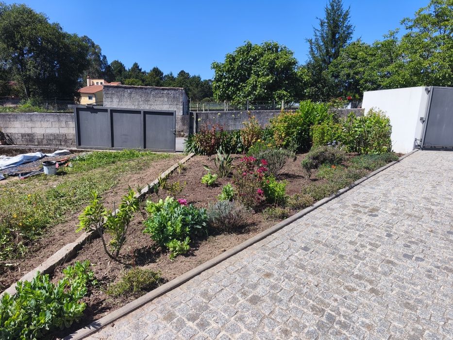 Jardinagem e Limpeza de Terrenos (Pequeno/Médio Porte) – Rápido e Económico