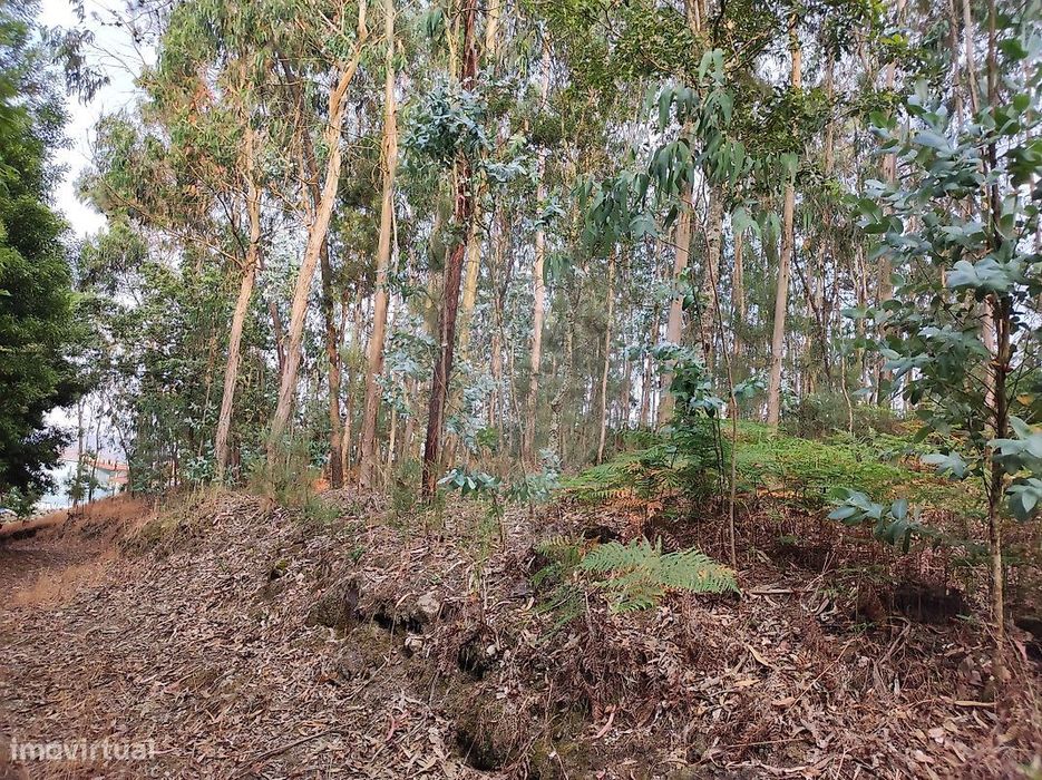 Terreno  para venda — Silveiros E Rio Covo (Santa Eulália), Braga