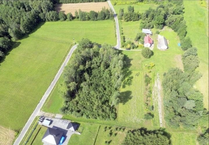 Sprzedam dzialke Zasów