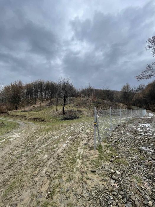 Продається старий будинок з великою земельною ділянкою