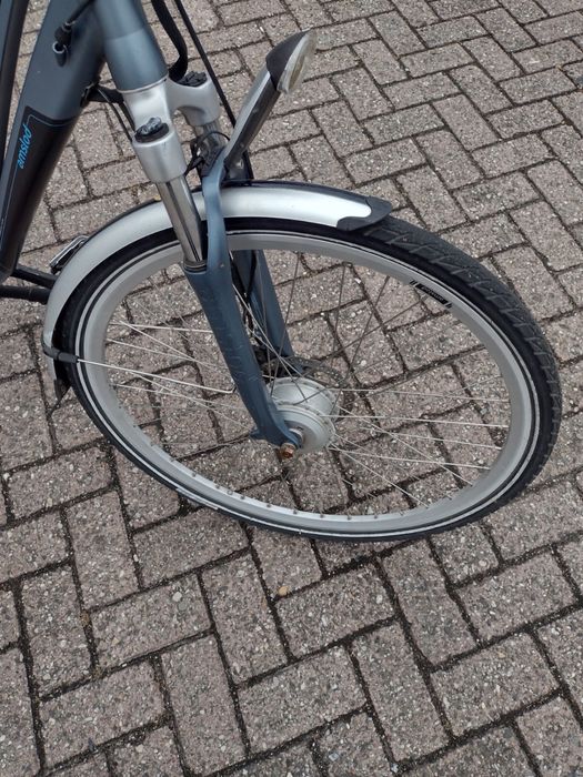 Rower elektryczny asmold hamilton