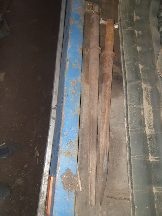 Zęby proste do krokodyla