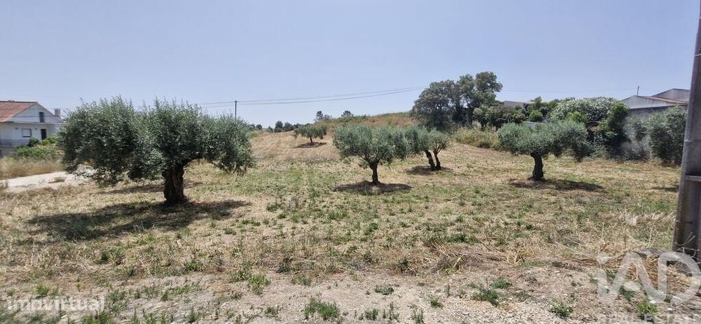 Terreno em Azambujeira e Malaqueijo de 3650,00 m2
