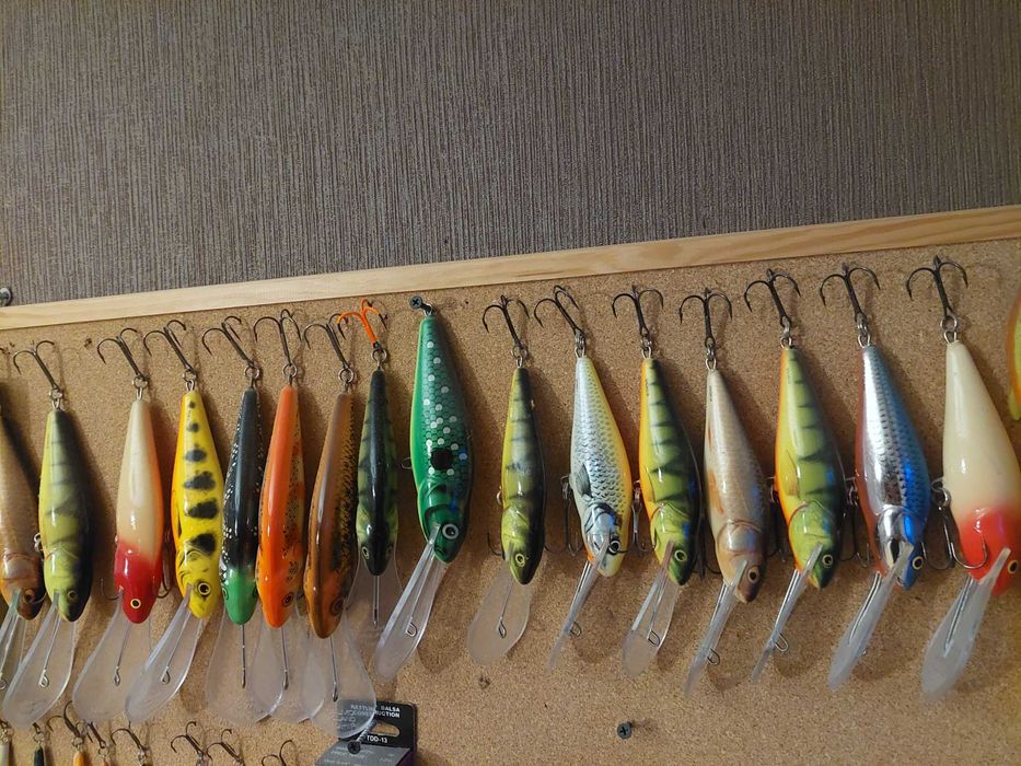 Salmo SDR zestaw 9x12cm 8x14cm stan kolekcjonerski