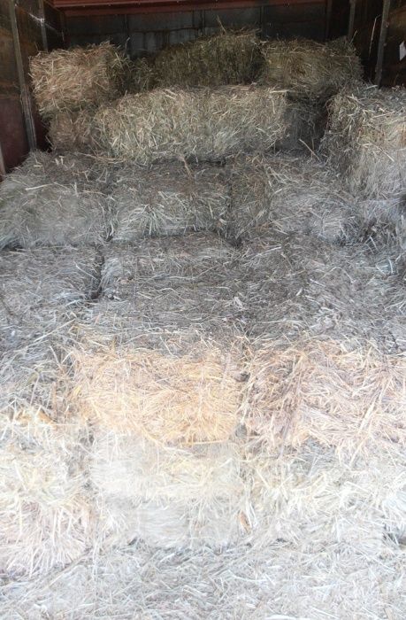Сено разнотравие,в мешках и тюках 2025.Днепр. Возможна доставка