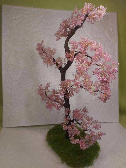 Drzewko sakura bonsai.