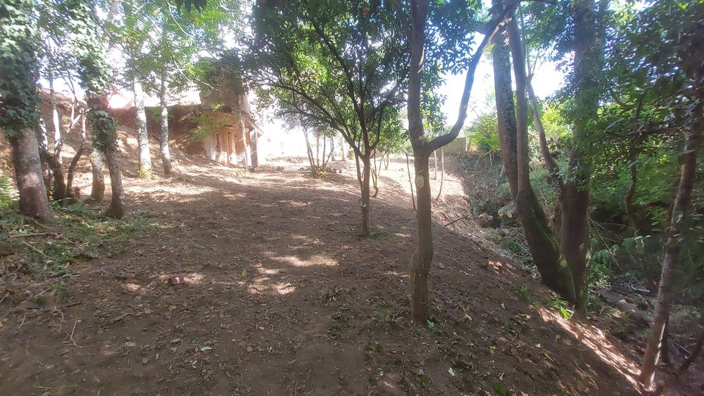 Terreno com casa em ruinas