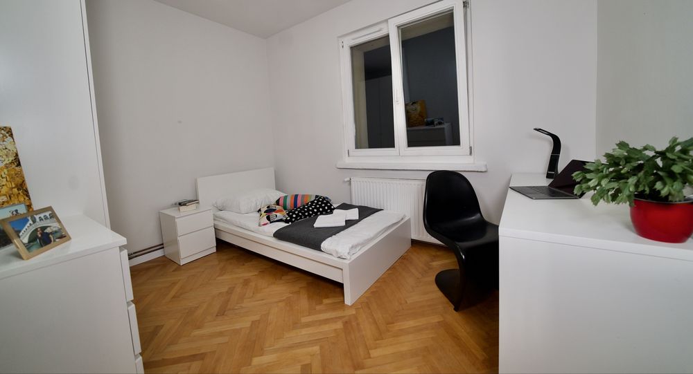 Zdjęcie 8