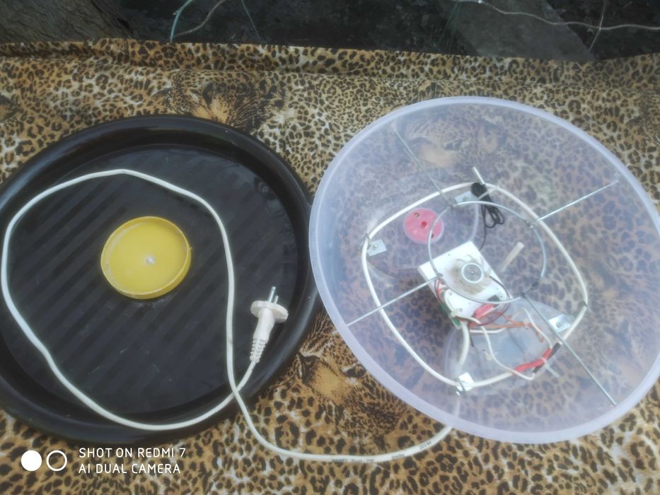 Инкубатор для яиц