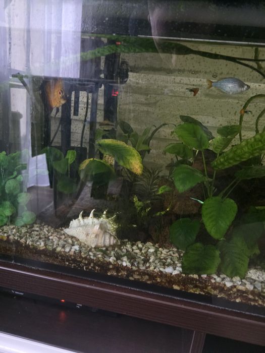 Sprzedam akwarium