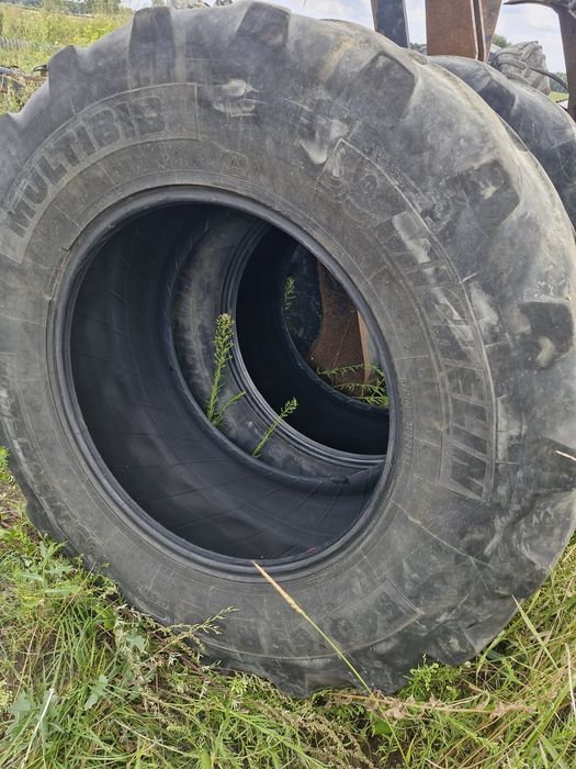 Opony 540 65 30 i 650/ 65 /42  oddam za darmo