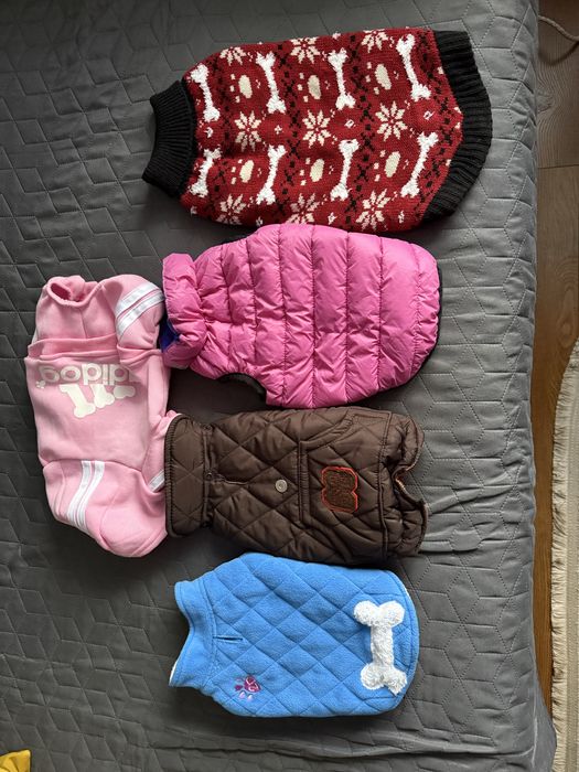 Продам одяг для собачок маленьких порід