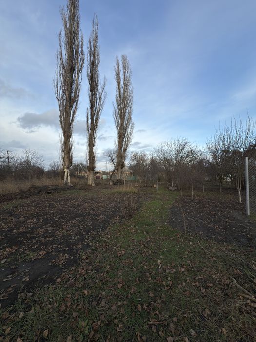 Дві суміжні земельні ділянки | Кущівка, вул. Чорноморська