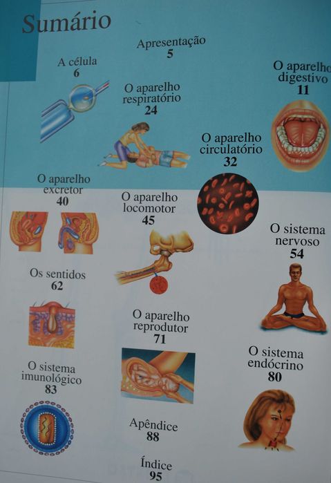 Cuida do Teu Corpo (Conhece O Teu Corpo)