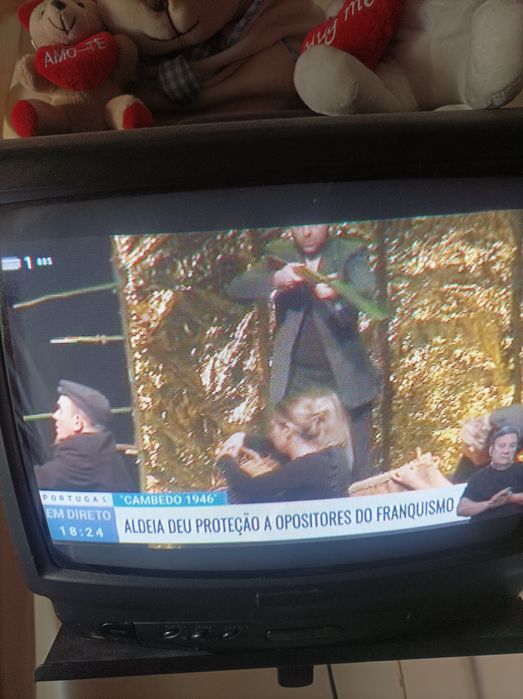 BLUESKY Brand Television – 35 cm with Universal Remote Control*64752260221569120