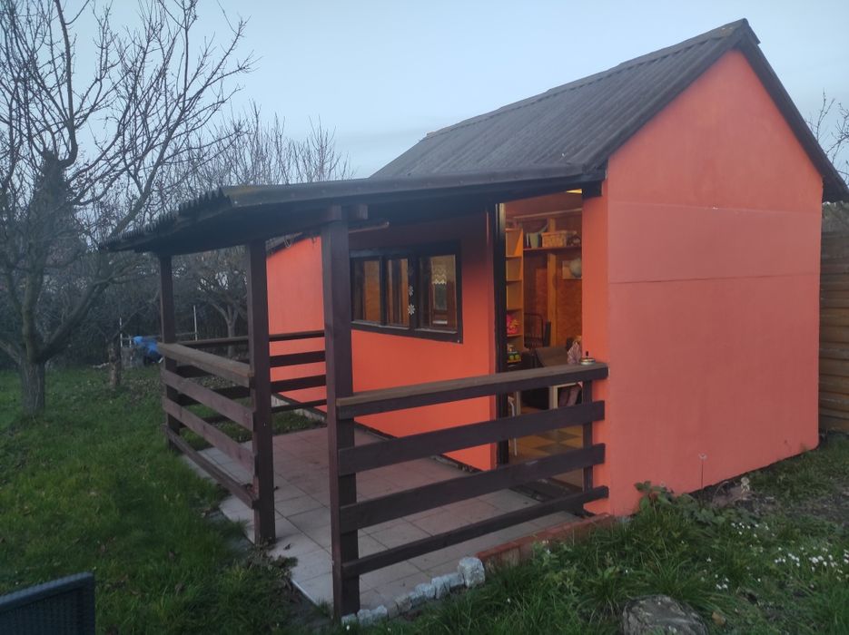 Ogródek działkowy duży 550 m² Rod Rozwój Chorzów działka