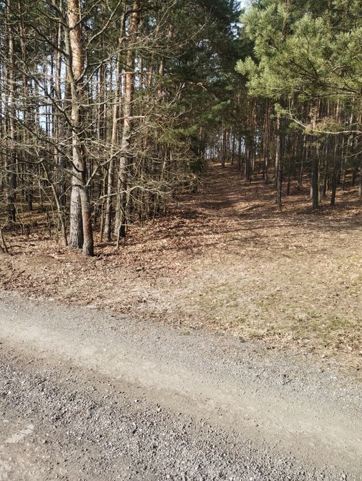 Działka leśna Famułki Brochowskie powiat Sochaczew 1600 m² - Widok 2