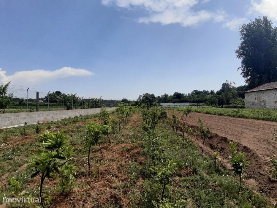 Agricultural / Ecological Plot - Rendufe