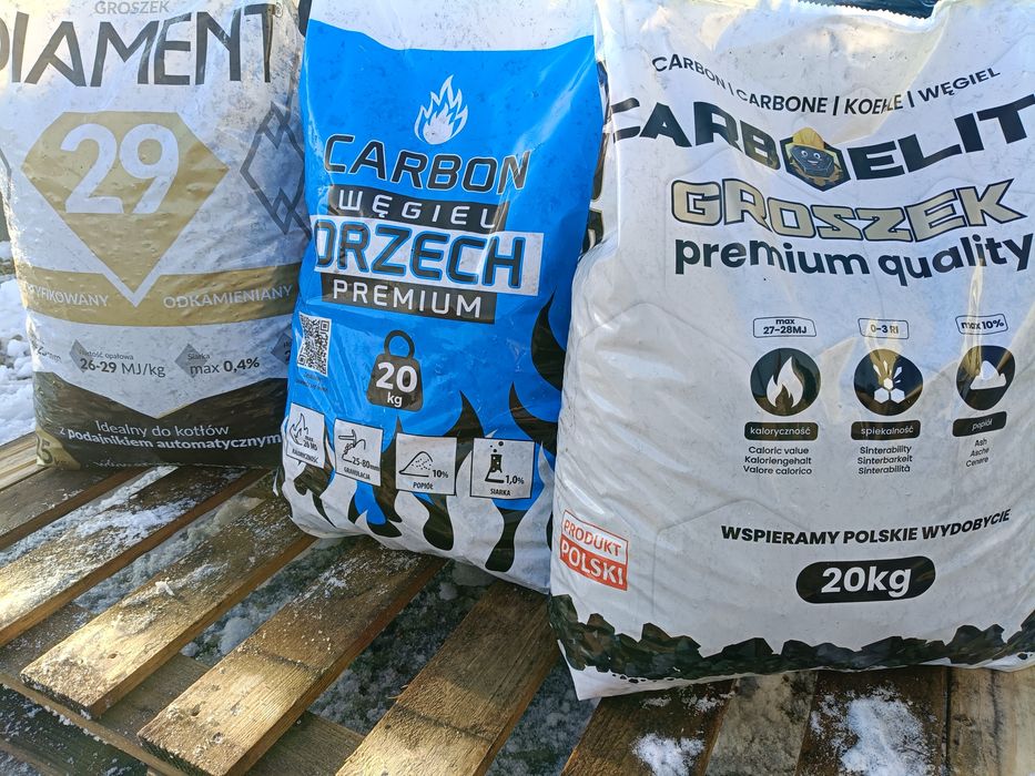 Groszek carbo elite