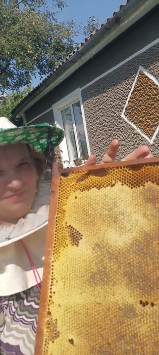 Продам мед з власної пасіки (різнотрав'я)