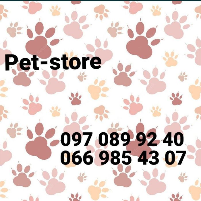 Пан пес чемпіон стандарт лайт юніор