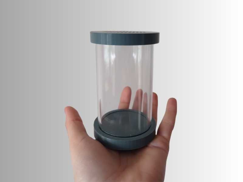 Terrarium typu tuba dla pająka / modliszki / skakuna – idealne na start hodowli