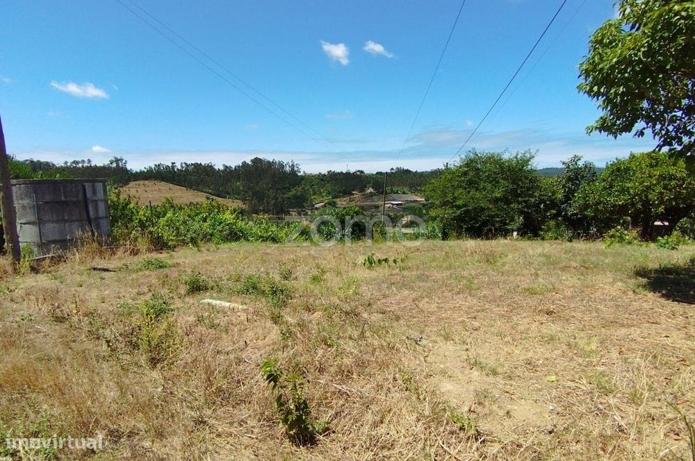 Terreno Almagreira