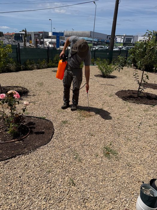 Serviço de minutemcao de jardim