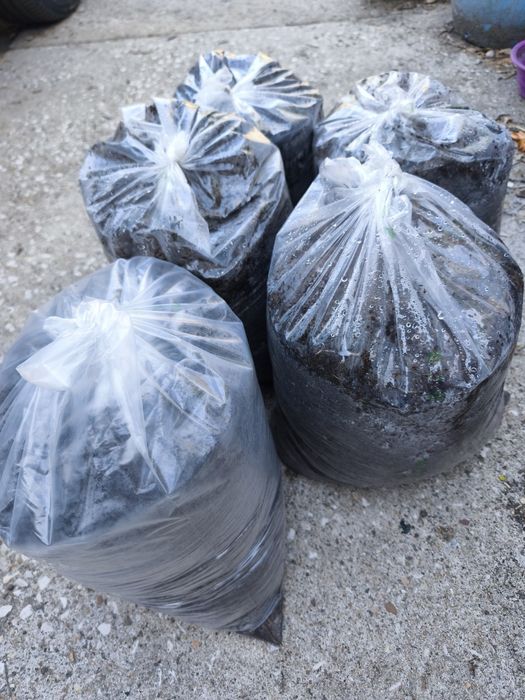 HORTAS & COMPOSTO    ---   Composto Orgânico de Galinha e Caprino - Sacos de 10 Litros - Pronto a Usar