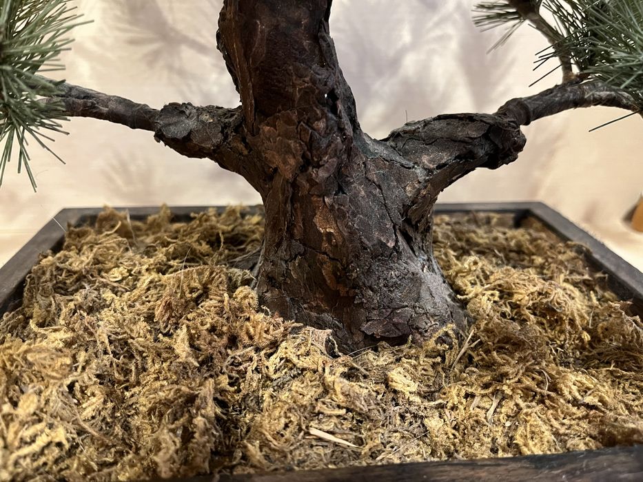 Ялинка  штучна сосна бонсай