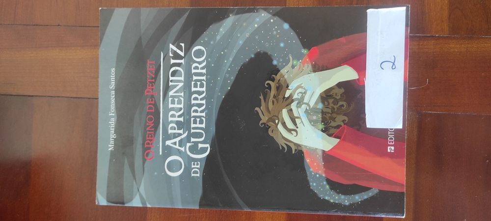 O aprendiz de guerreiro