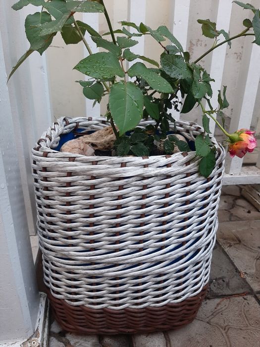 Кашпо из ротанга.