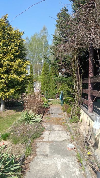 Działka rekreacyjno-wypoczynkowa