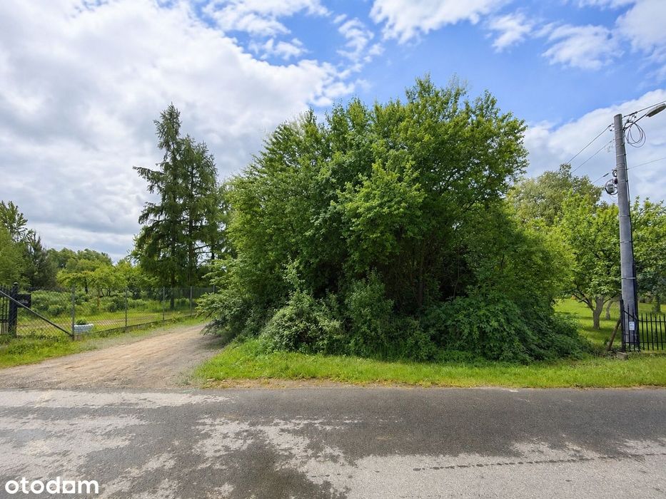 Działka budowlana 8134 m² Lubojenka - idealna pod dom lub inwestycję - Widok 3