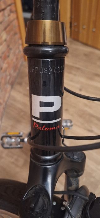Rower Trekingowy Paloma Sport