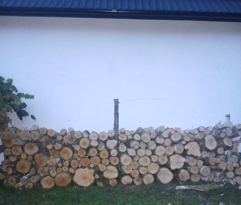 Drewno opałowe brzoza