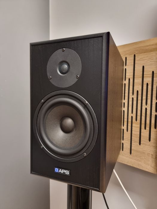 Monitory Studyjne APS Klasik 2020 para