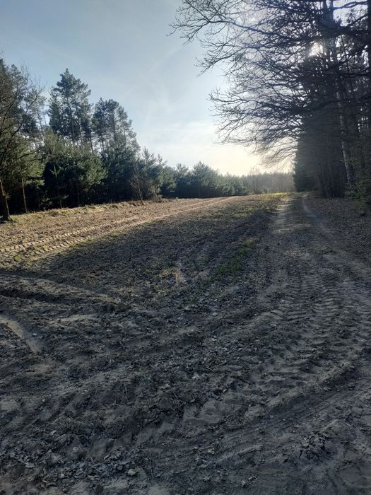Ziemia Rolna 2,4h