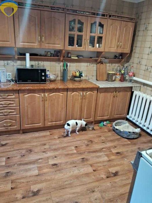 Продам шикарний  будинок в с. Буялик. р9