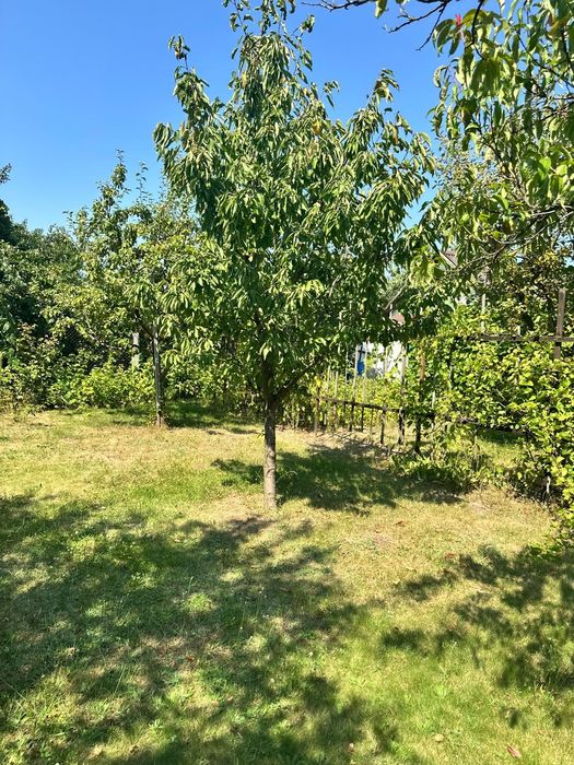 Sprzedam ogródek działkowy 450 m2 w Ogrodach Działkowych ,,Kwitnąca Dolina"