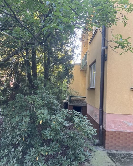 Zdjęcie 6