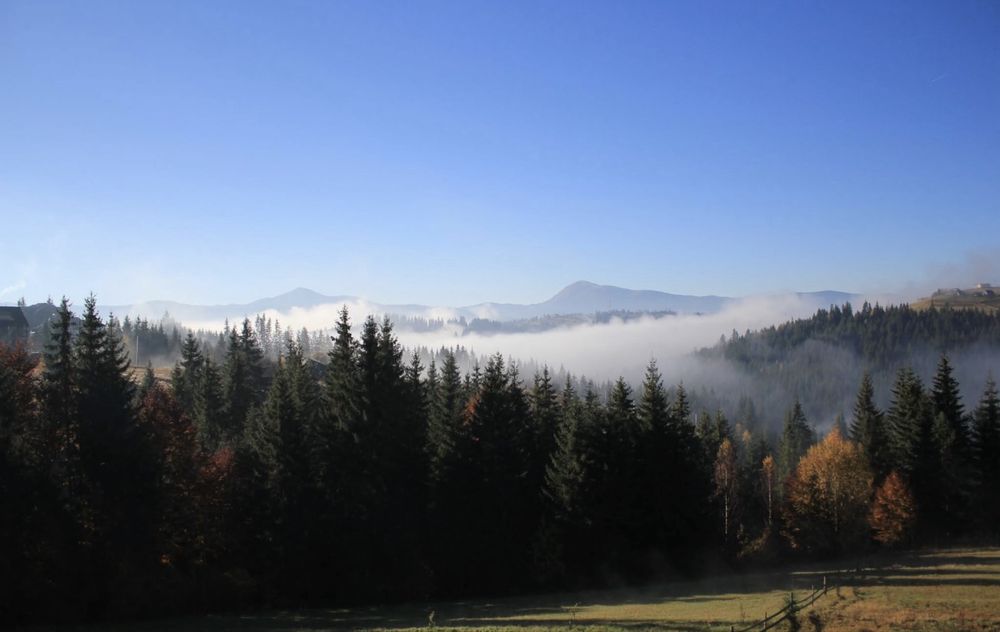 Відпочинок в Карпатах є вільні місця, Яблуниця,Буковель